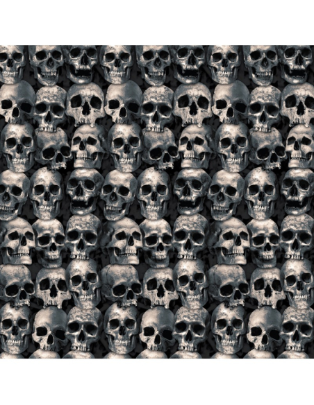 Décoration Murale Géante Têtes de Mort 1,20 m x 6 m – Effet Ossuaire XXL