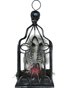 Automate Chouette Squelette en Cage – Lumière, Son & Mouvement (Halloween) 2