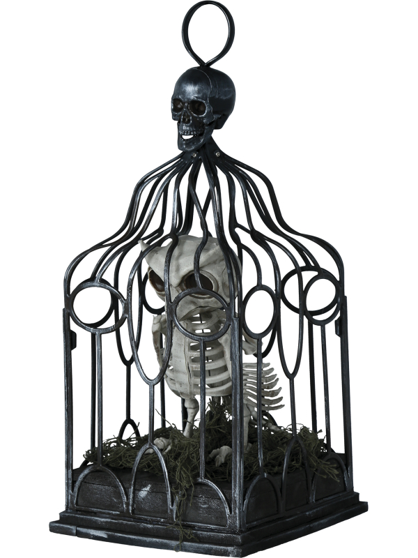 Automate Chouette Squelette en Cage – Lumière, Son & Mouvement (Halloween)