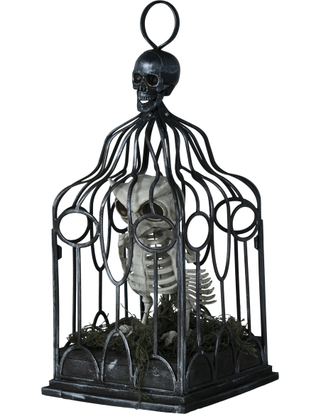 Automate Chouette Squelette en Cage – Lumière, Son & Mouvement (Halloween)