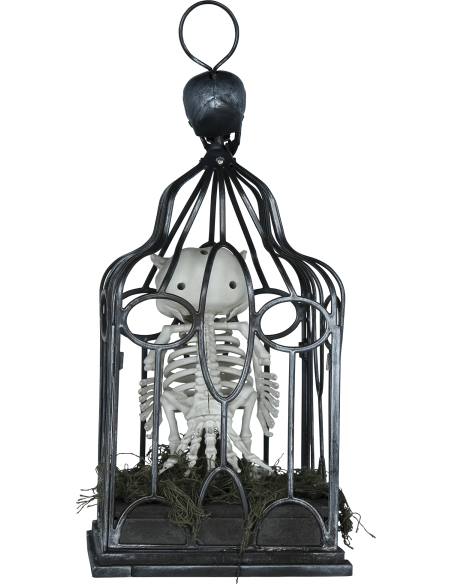 Automate Chouette Squelette en Cage – Lumière, Son & Mouvement (Halloween)