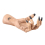 Bougeoir Main de Sorcière – Décoration Halloween 23×10×9,5 cm (résine)