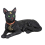 Chat Noir Mystique aux Yeux d’Émeraude – Décoration Halloween 31 cm