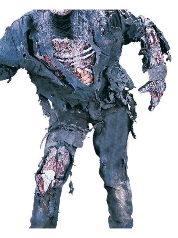 Accessoire Zombie Effrayant – Bras & Jambe...