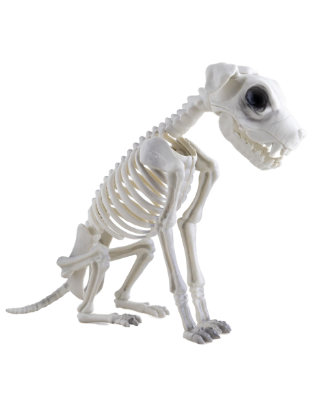Squelette de Chien Zombie: Une Décoration Halloween Qui Fait Sensation !