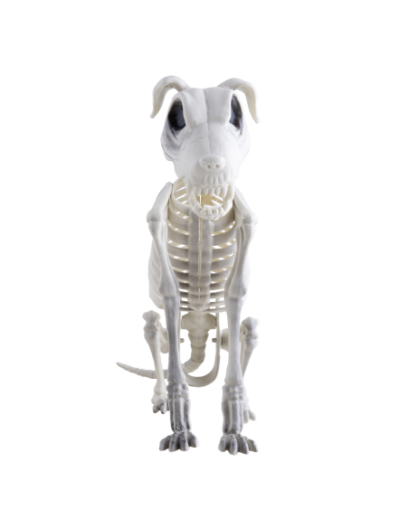 Squelette de Chien Zombie: Une Décoration Halloween Qui Fait Sensation !