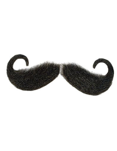 Moustache Impériale Guidon – Personnages Historiques & Kaiser Wilhelm II 2