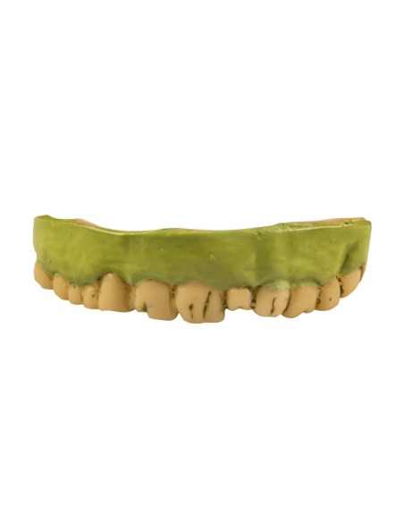 Dents de Zombie en TPE – Accessoire Effrayant pour Halloween, Monstres et Pirates