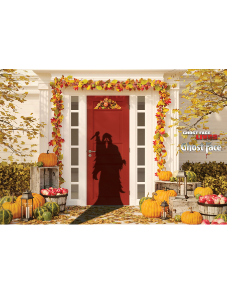 Projecteur Ghost Face® Halloween – Scène de Porte avec Silhouette et Minuterie