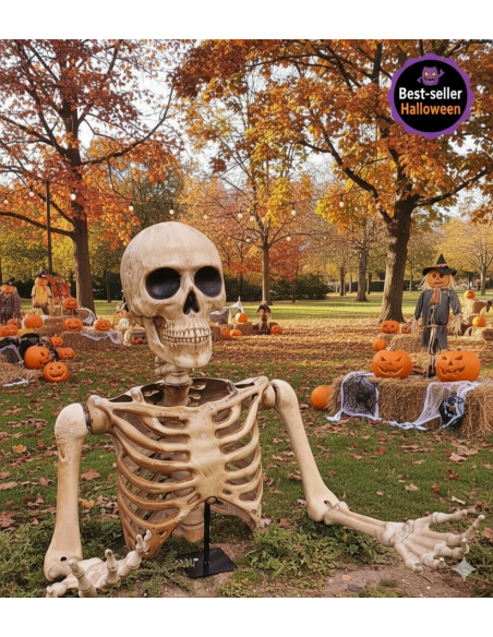 Squelette Halloween Extérieur 104 cm – Buste Articulé avec Bras et Crâne Réalistes