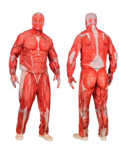 Déguisement Corps Humain Anatomie Réaliste – Costume Musculaire Fast Costume