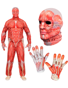 Déguisement Corps Humain Anatomie Réaliste – Costume Musculaire Fast Costume 2