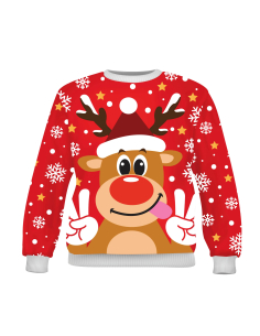 Pulls de Noël – Pulls moches pour adultes 2