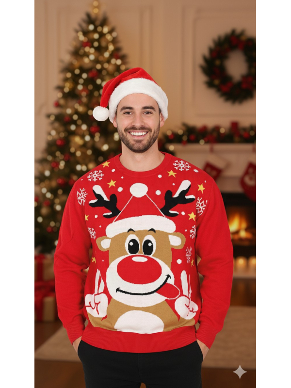 Pulls de Noël – Pulls moches pour adultes