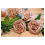 Centre de Table Roses Luxe en Velours – 2 m – Rose Poudré ou Rouge