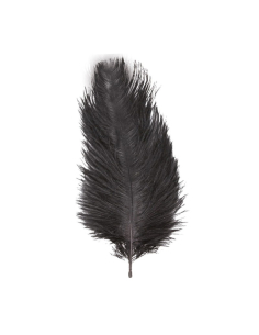 Grande plume d’autruche noire 55–60 cm – Accessoire premium pour tricorne et costumes nobles