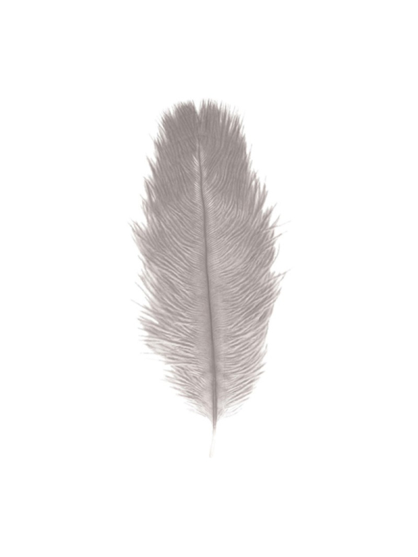 Plumes d’autruche 30–35 cm (lot de 2) – Accessoires premium pour tricorne & costumes nobles gris