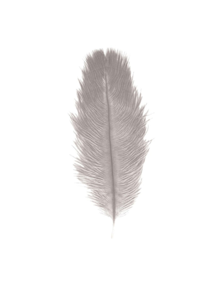 Plumes d’autruche 30–35 cm (lot de 2) – Accessoires premium pour tricorne & costumes nobles gris