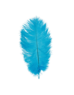 Plumes d’autruche 30–35 cm (lot de 2) – Accessoires premium pour tricorne & costumes nobles turquoise