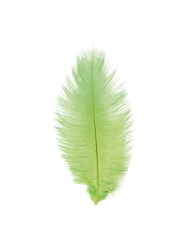 Plumes d’autruche 30–35 cm (lot de 2) – Accessoires premium pour tricorne & costumes nobles vert