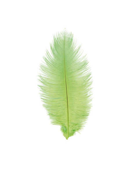 Plumes d’autruche 30–35 cm (lot de 2) – Accessoires premium pour tricorne & costumes nobles vert