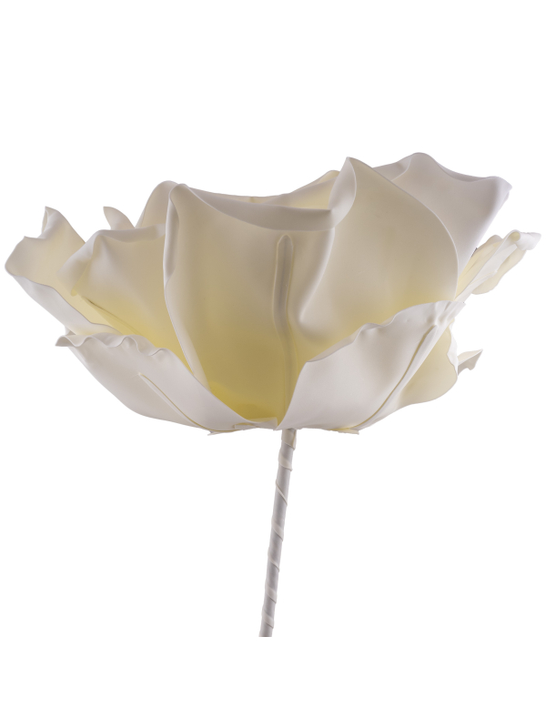 Fleur Géante Mousse 70 cm –  Blanche – Déco Mariage & Événements
