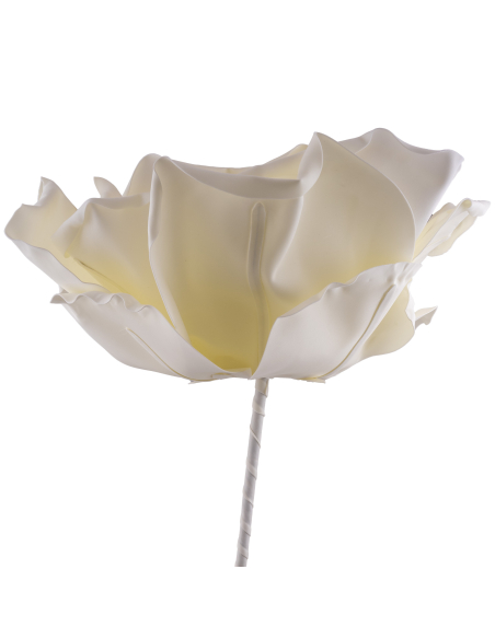 Fleur Géante Mousse 70 cm –  Blanche – Déco Mariage & Événements