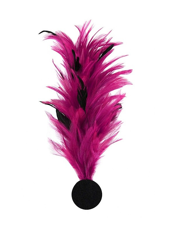 Broche plume décorative – Accessoire costume, chapeau & spectacle rose