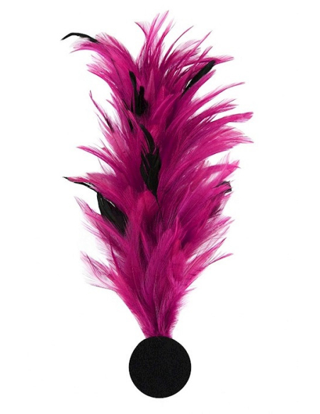 Broche plume décorative – Accessoire costume, chapeau & spectacle rose