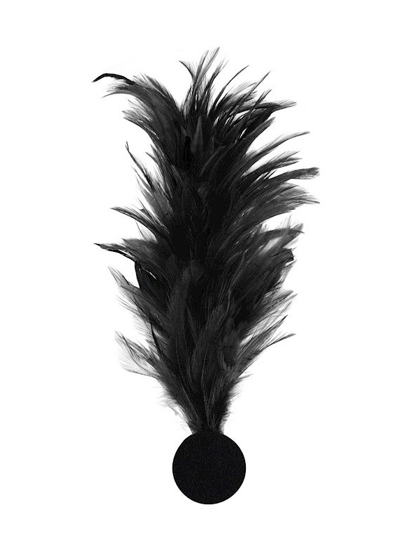 Broche plume décorative – Accessoire costume, chapeau & spectacle noire
