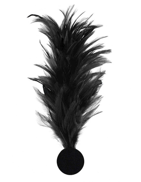 Broche plume décorative – Accessoire costume, chapeau & spectacle noire