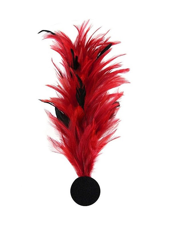 Broche plume décorative – Accessoire costume, chapeau & spectacle rouge