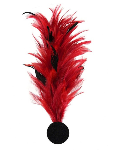 Broche plume décorative – Accessoire costume, chapeau & spectacle rouge