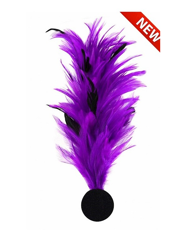 Broche plume décorative – Accessoire costume, chapeau & spectacle violet