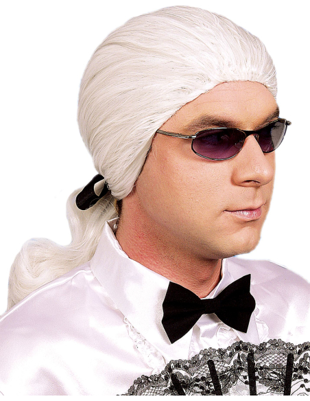 Perruque blanche homme avec tresse – Style créateur de mode iconique