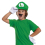 Kit accessoires Luigi™ enfant – Casquette verte + gants blancs + moustache adhésive (Super Mario™)