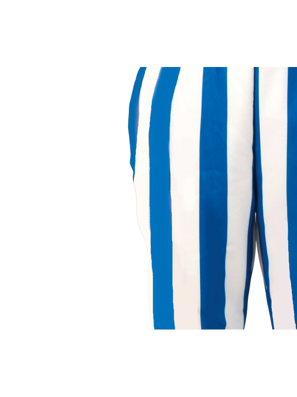 Déguisement gaulois costaud enfant (façon Obélix) – Pantalon rayé + t-shirt + ceinture