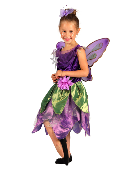 Déguisement Fée violet & vert enfant avec ailes