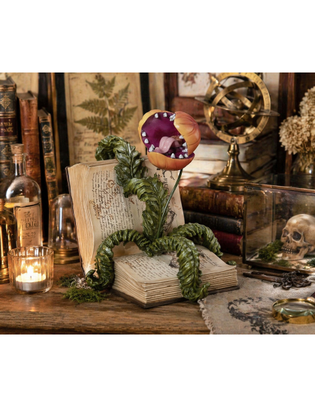 Livre ancien avec plante carnivore en résine – Décoration Halloween chic et cabinet de curiosités