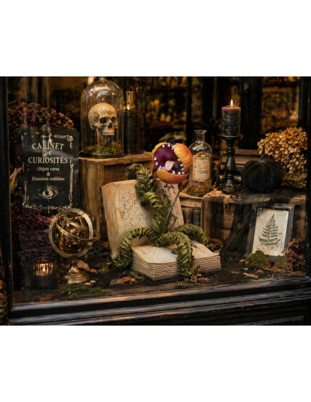 Livre ancien avec plante carnivore en résine – Décoration Halloween chic et cabinet de curiosités