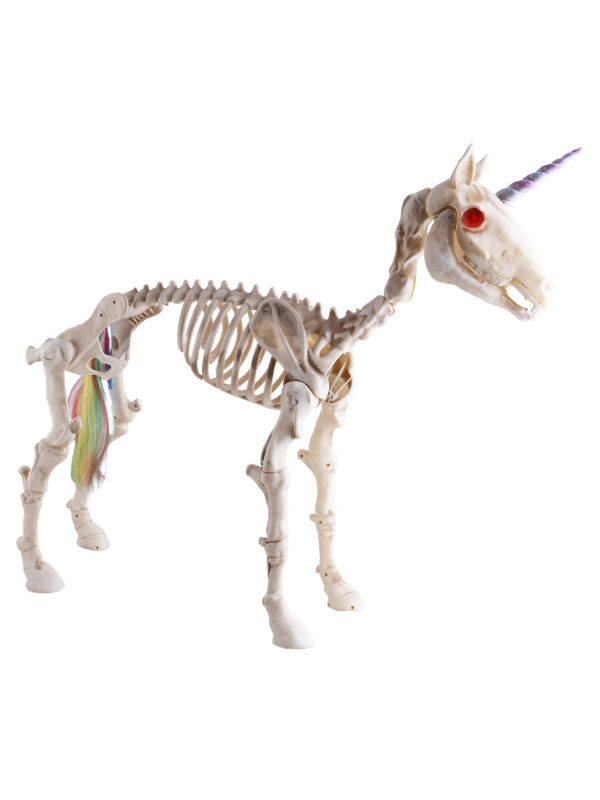Squelette de Licorne Animée Halloween – Yeux LED Rouges, Son et Corps Articulé 94 cm
