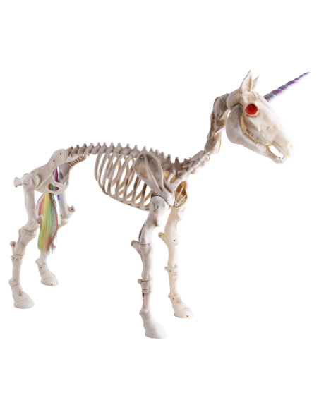 Squelette de Licorne Animée Halloween – Yeux LED Rouges, Son et Corps Articulé 94 cm