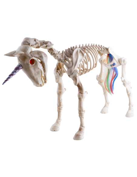 Squelette de Licorne Animée Halloween – Yeux LED Rouges, Son et Corps Articulé 94 cm
