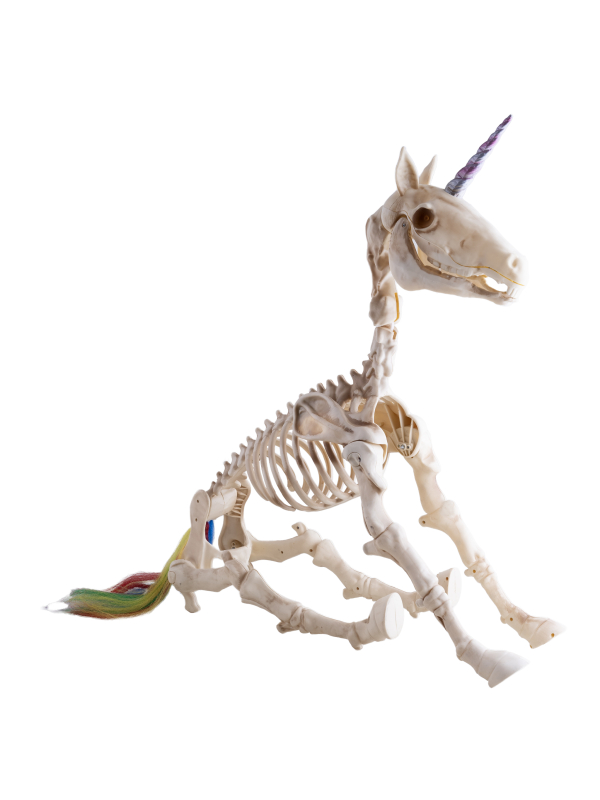 Squelette de Licorne Animée Halloween – Yeux LED Rouges, Son et Corps Articulé 94 cm