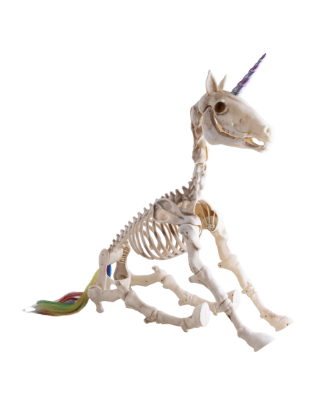 Squelette de Licorne Animée Halloween – Yeux LED Rouges, Son et Corps Articulé 94 cm