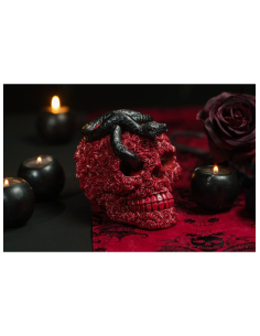 Crâne gothique en roses rouges avec serpent noir – 15 cm 2