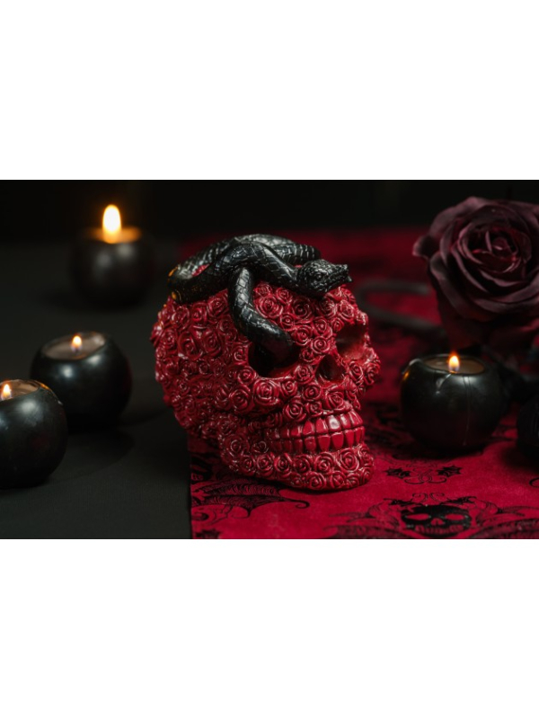 Crâne gothique en roses rouges avec serpent noir – 15 cm