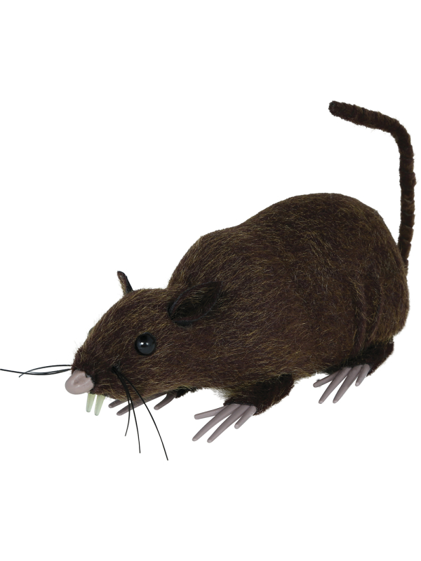 Rat Halloween réaliste marron 15 cm – décoration effrayante