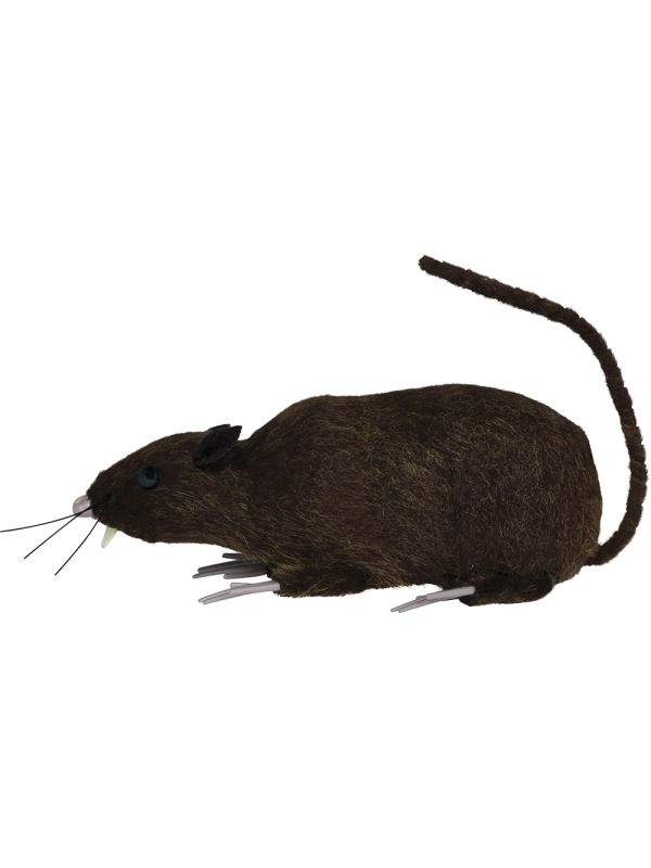Rat Halloween réaliste marron 15 cm –...
