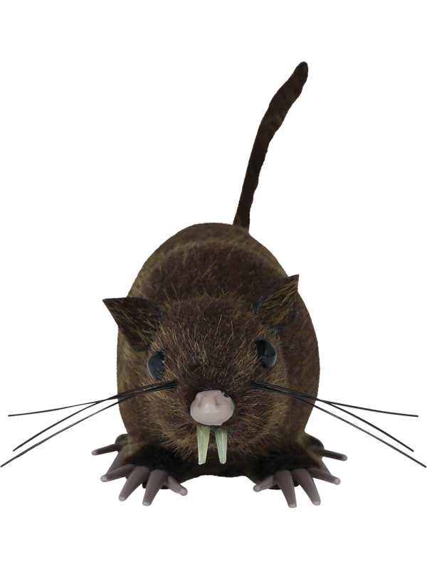 Rat Halloween réaliste marron 15 cm – décoration effrayante